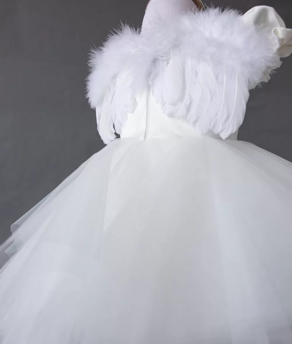 Rochita botez aripi ingeras