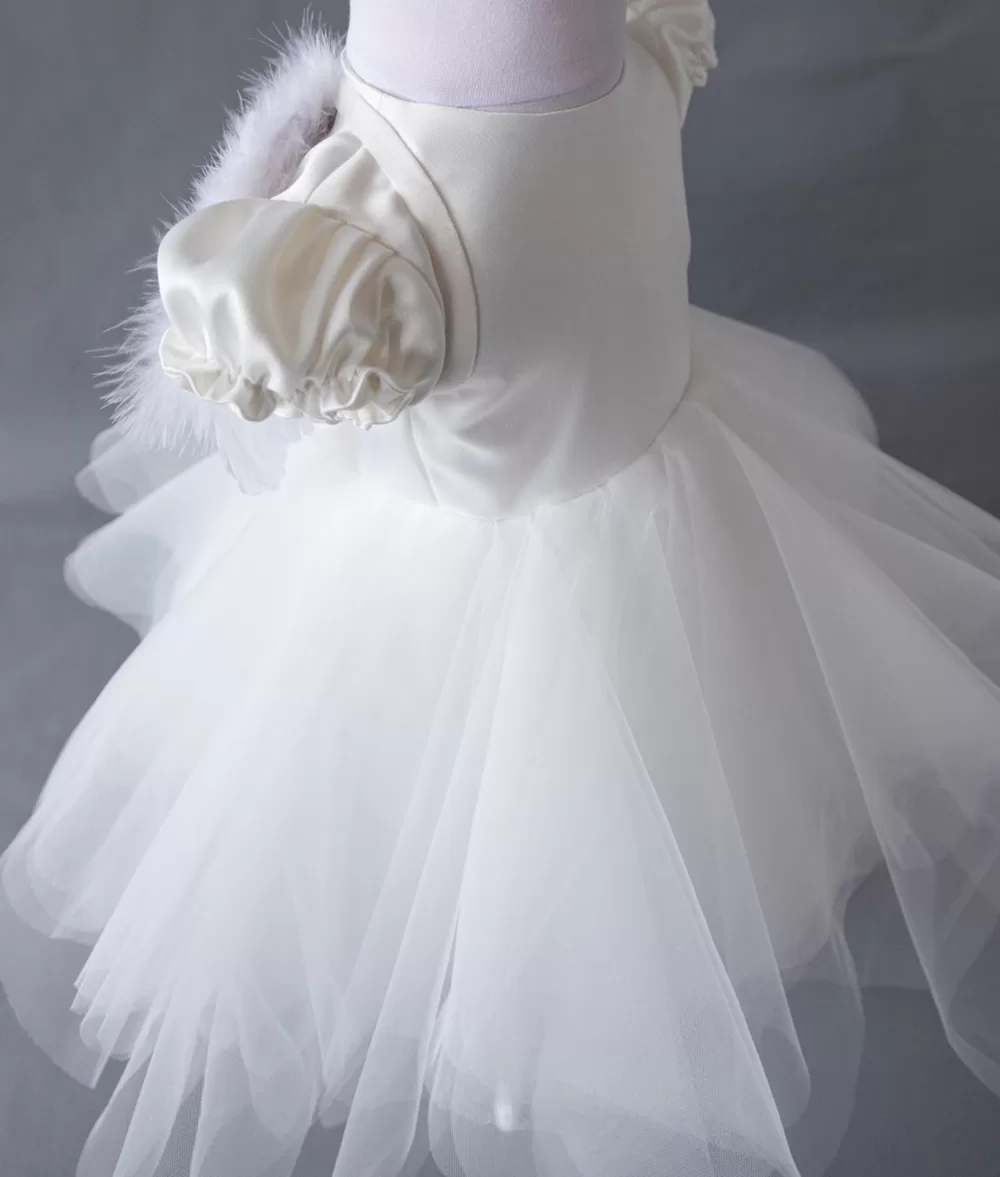 Rochita botez ingeras