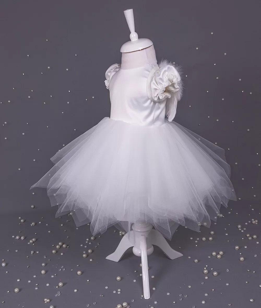 Rochita botez aripi ingeras